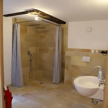 Nengshof Pusteblume Und Butterblume *