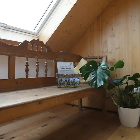 Nengshof Pusteblume Und Butterblume