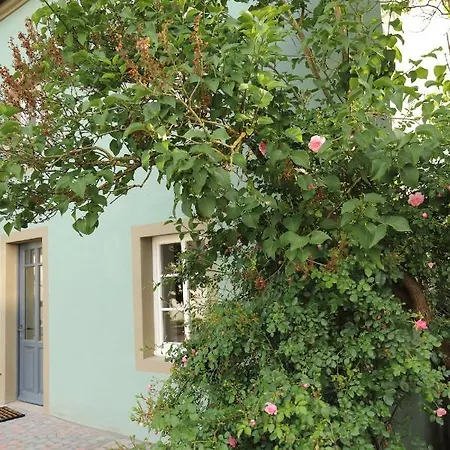 Apartment Nengshof Pusteblume Und Butterblume *