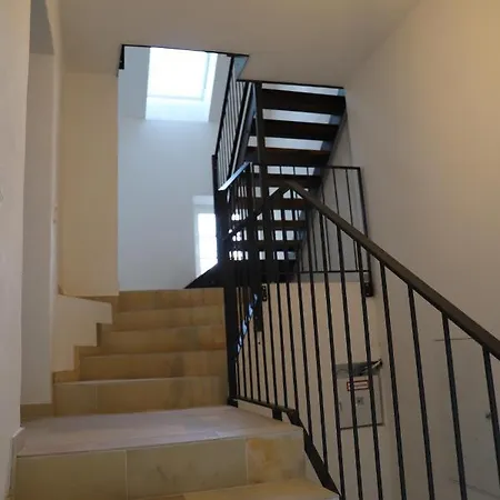 Nengshof Pusteblume Und Butterblume