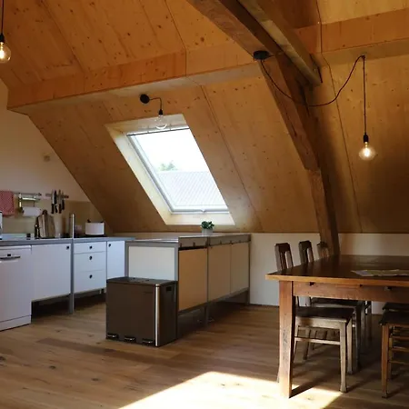 Nengshof Pusteblume Und Butterblume Wißmannsdorf