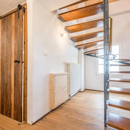 Nengshof Pusteblume Und Butterblume