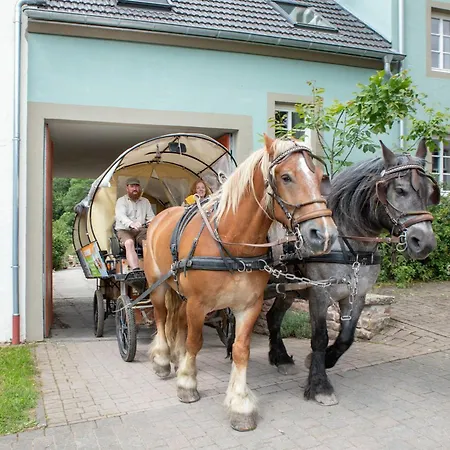 Nengshof Ferienwohnung Pusteblume Apartamento *