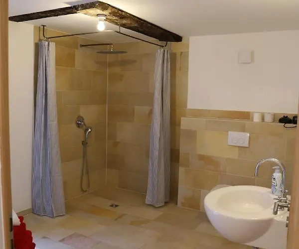 Nengshof Pusteblume Und Butterblume *