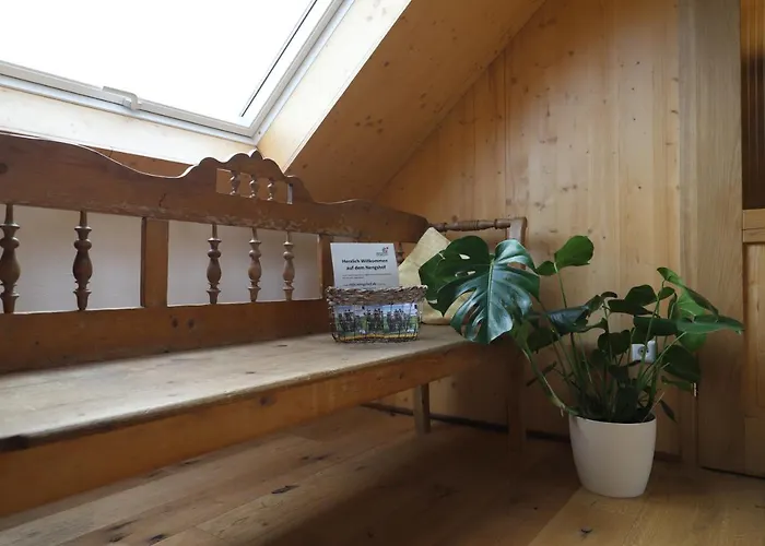 Nengshof Pusteblume Und Butterblume