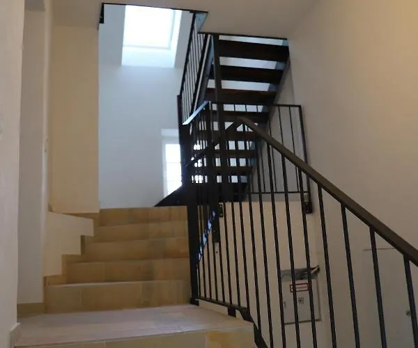 Nengshof Pusteblume Und Butterblume