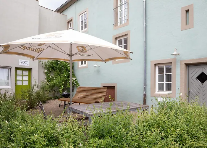 Nengshof Pusteblume Und Butterblume