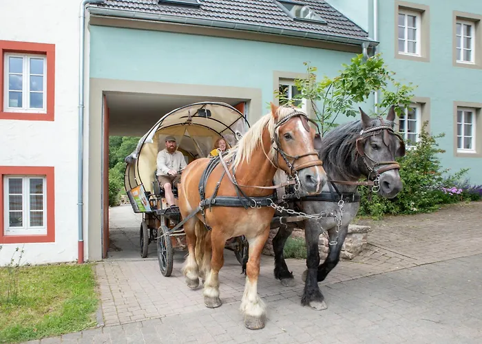 Nengshof Pusteblume Und Butterblume Апартаменты *