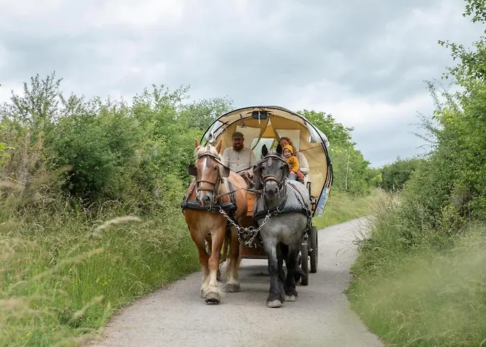 Nengshof Pusteblume Und Butterblume * Висмансдорф