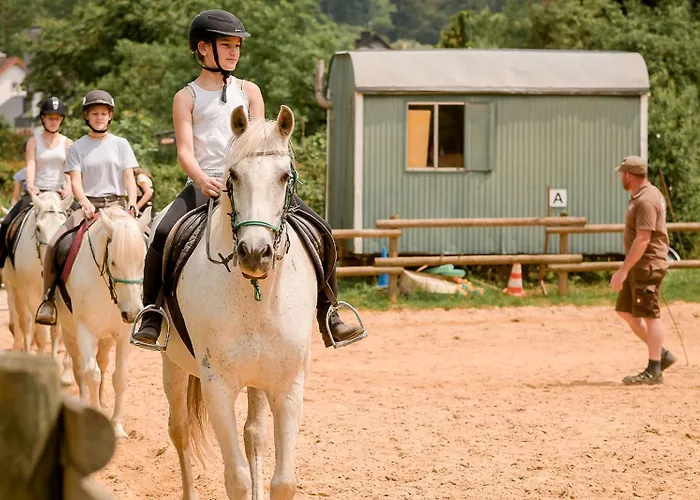 Nengshof Pusteblume Und Butterblume