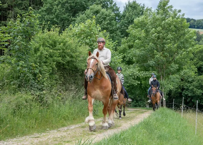 Nengshof Pusteblume Und Butterblume Апартаменты Висмансдорф