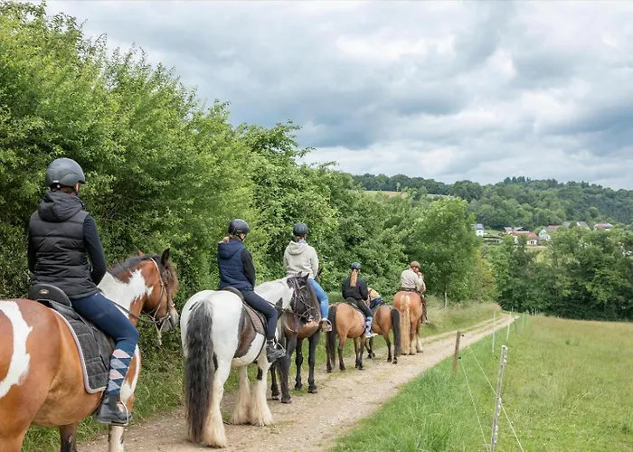 Nengshof Pusteblume Und Butterblume Апартаменты Висмансдорф